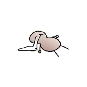 Meet your Posher, Rainny